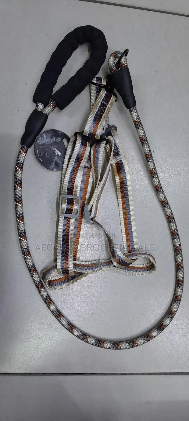 Dog Leash +Dog Harness Medium Size ( Compacted Leash ) - thumbnail 4