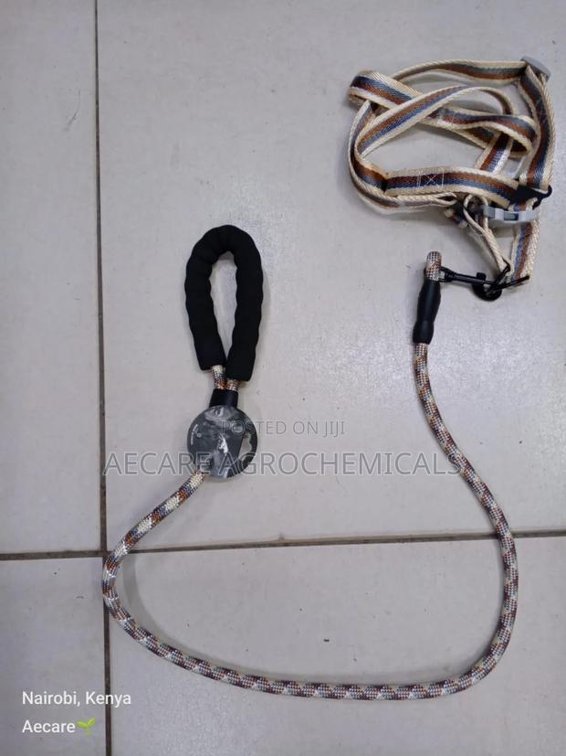 Dog Leash +Dog Harness Medium Size ( Compacted Leash ) - thumbnail 8