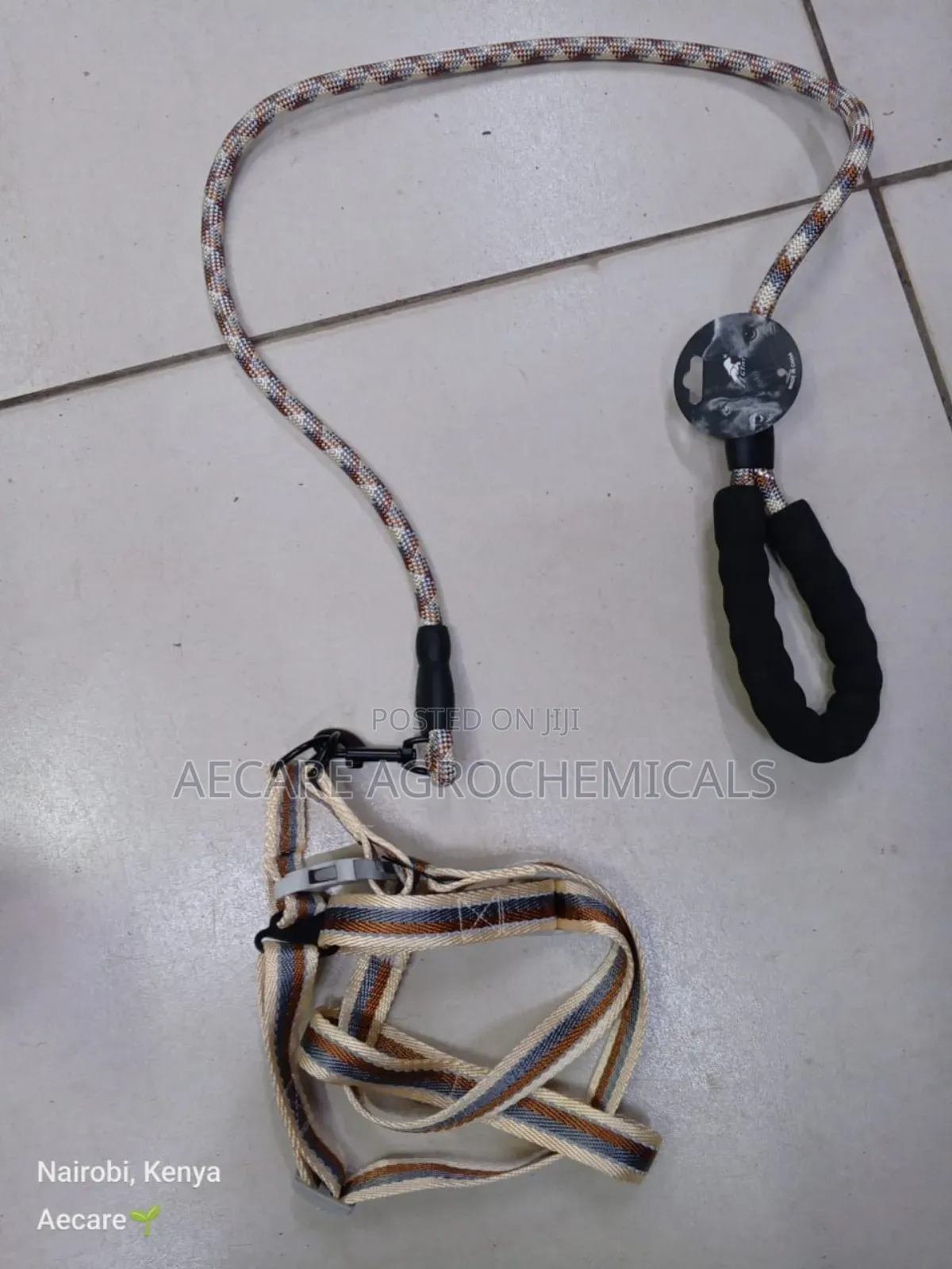 Dog Leash +Dog Harness Medium Size ( Compacted Leash )