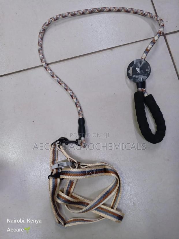 Dog Leash +Dog Harness Medium Size ( Compacted Leash ) - thumbnail 9