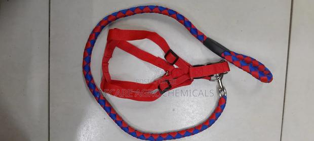 Dog Leash/Doglead + Dog Harness Blue & Red Medium Size - main view