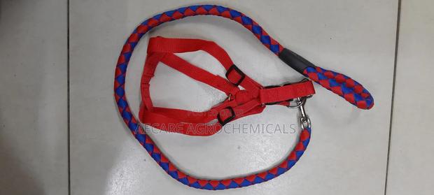 Dog Leash/Doglead + Dog Harness Blue & Red Medium Size - thumbnail 3