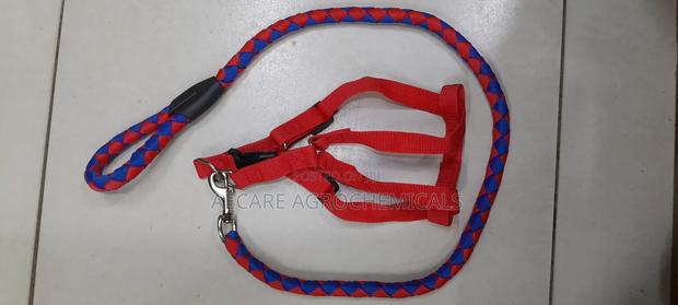 Dog Leash/Doglead + Dog Harness Blue & Red Medium Size - thumbnail 4