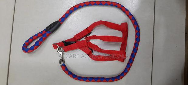Dog Leash/Doglead + Dog Harness Blue & Red Medium Size - thumbnail 5
