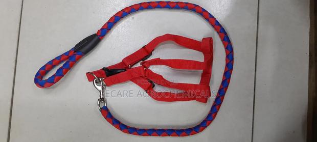 Dog Leash/Doglead + Dog Harness Blue & Red Medium Size - thumbnail 6