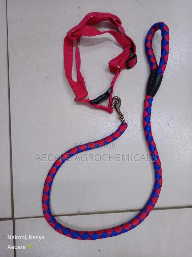 Dog Leash/Doglead + Dog Harness Blue & Red Medium Size - thumbnail 7