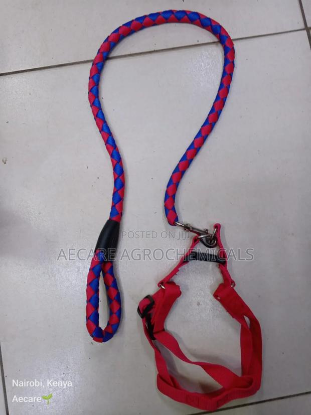 Dog Leash/Doglead + Dog Harness Blue & Red Medium Size - thumbnail 8