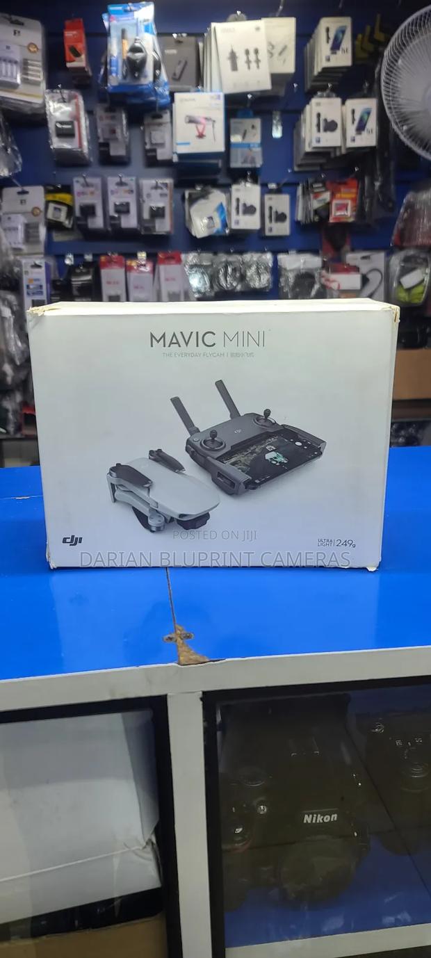 Dji Mavic Mini - main view