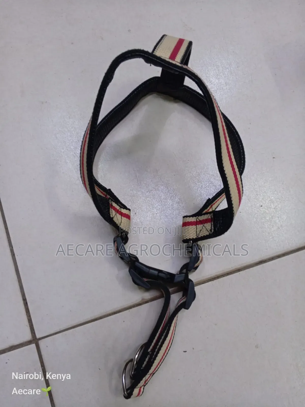 Large Dog Leash/Lead Annex + Large Dog Harness