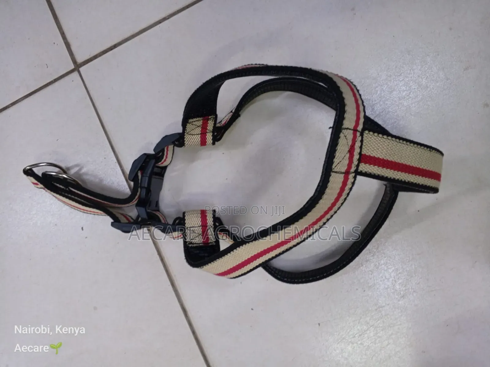 Large Dog Leash/Lead Annex + Large Dog Harness
