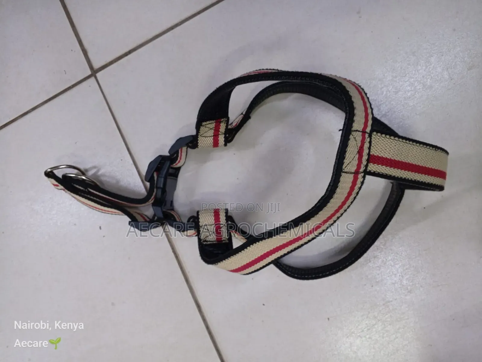Large Dog Leash/Lead Annex + Large Dog Harness