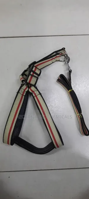 Large Dog Leash/Lead Annex + Large Dog Harness