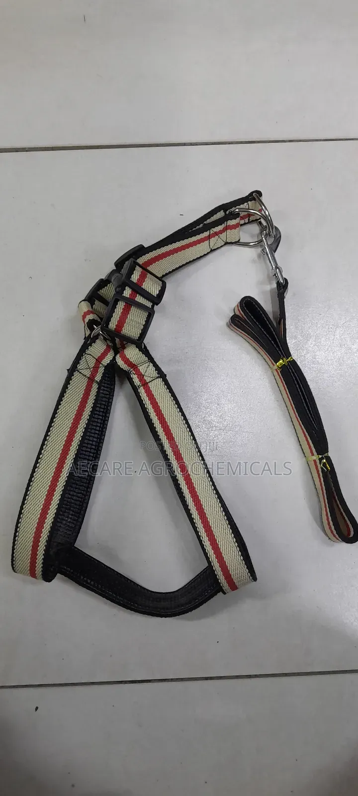 Large Dog Leash/Lead Annex + Large Dog Harness
