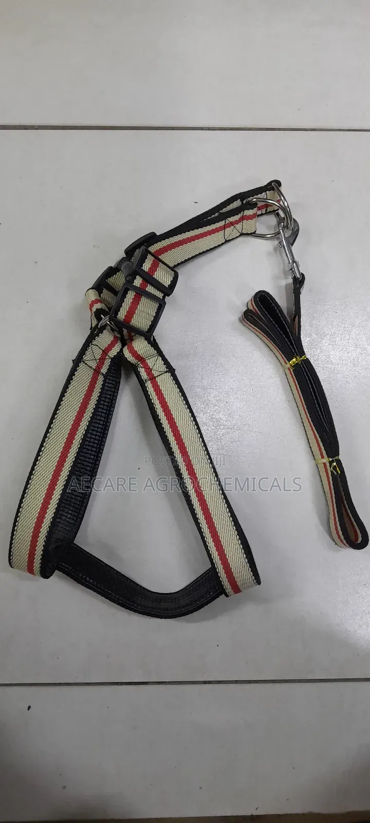 Large Dog Leash/Lead Annex + Large Dog Harness