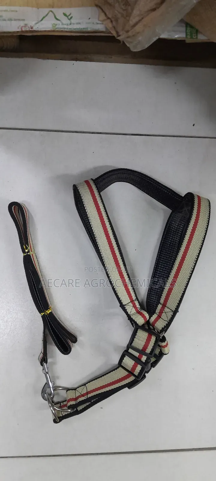 Large Dog Leash/Lead Annex + Large Dog Harness