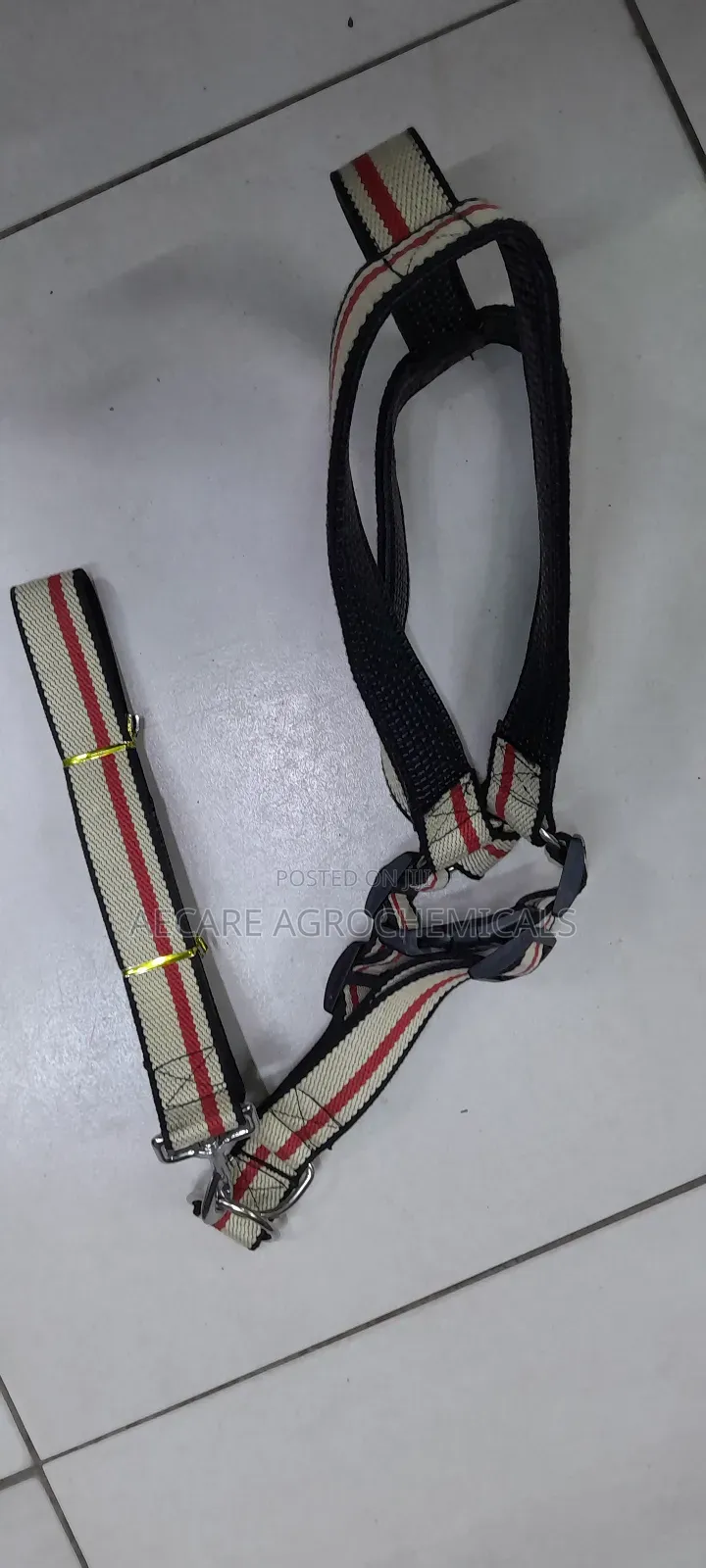 Large Dog Leash/Lead Annex + Large Dog Harness