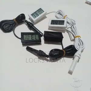 Cold Room Thermometer