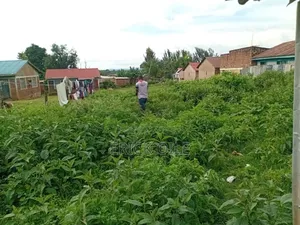 Plot for Sale 130x100 (0.13) Next to Palmers Rongo Town