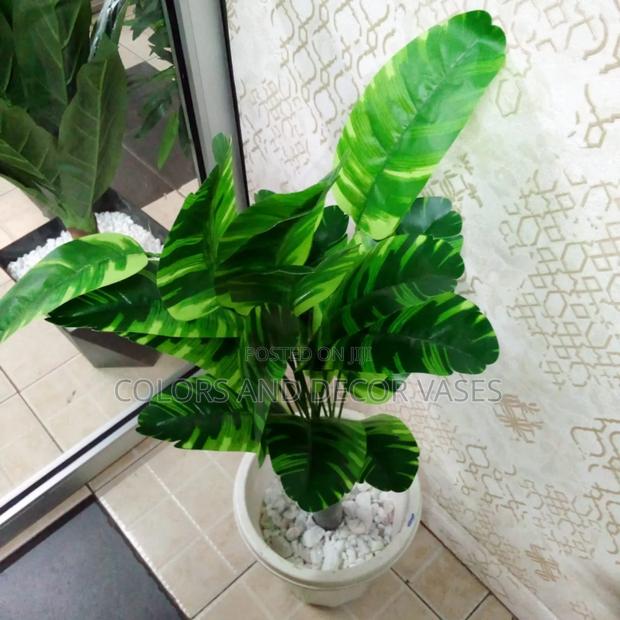 Stripped Banana Plant in Vase 80cm
