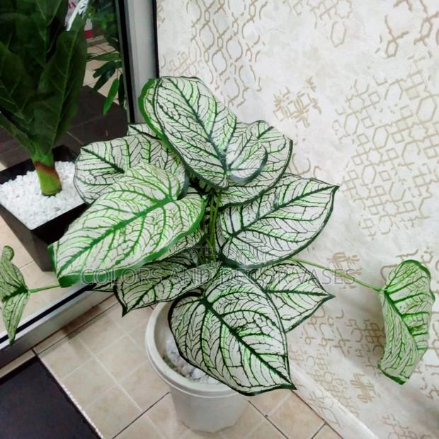 White Plant With Vase