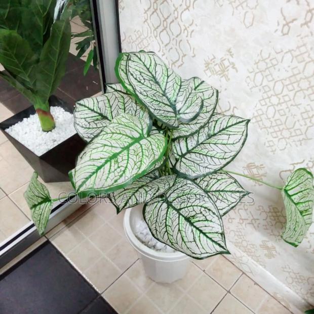White Plant With Vase - thumbnail 2