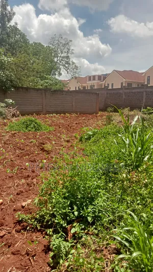 Thome 1/4 Land on Sale, Gated Community