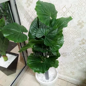 1.2m Plant With Vase on Offer