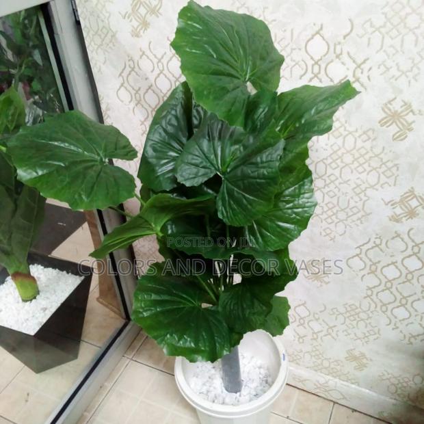1.2m Plant With Vase on Offer - main view