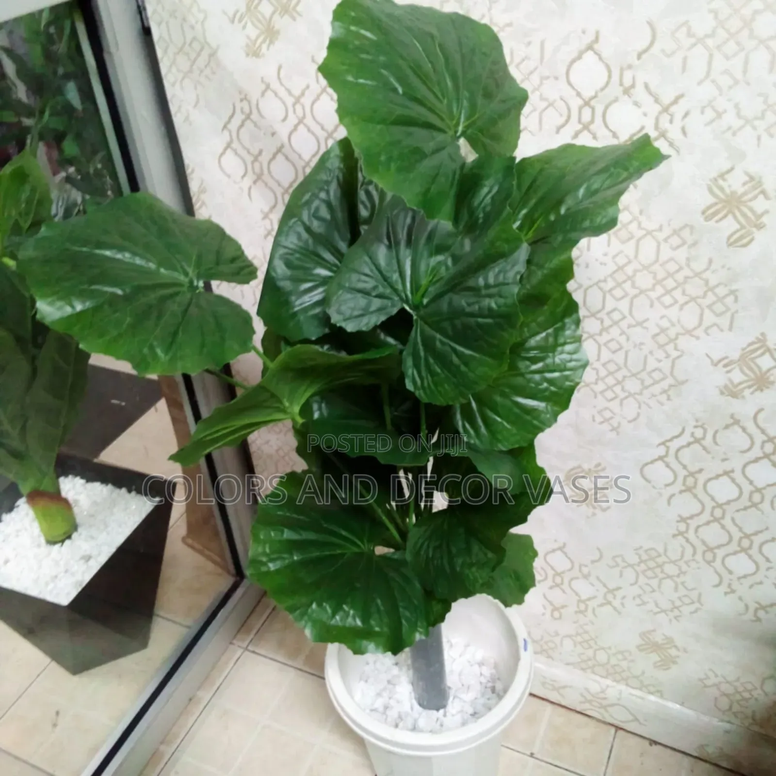 1.2m Plant With Vase on Offer