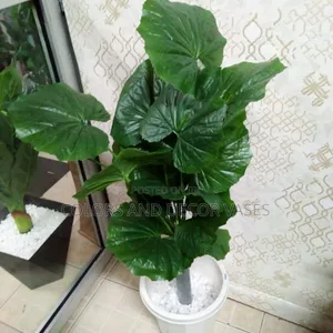 1.2m Plant With Vase on Offer