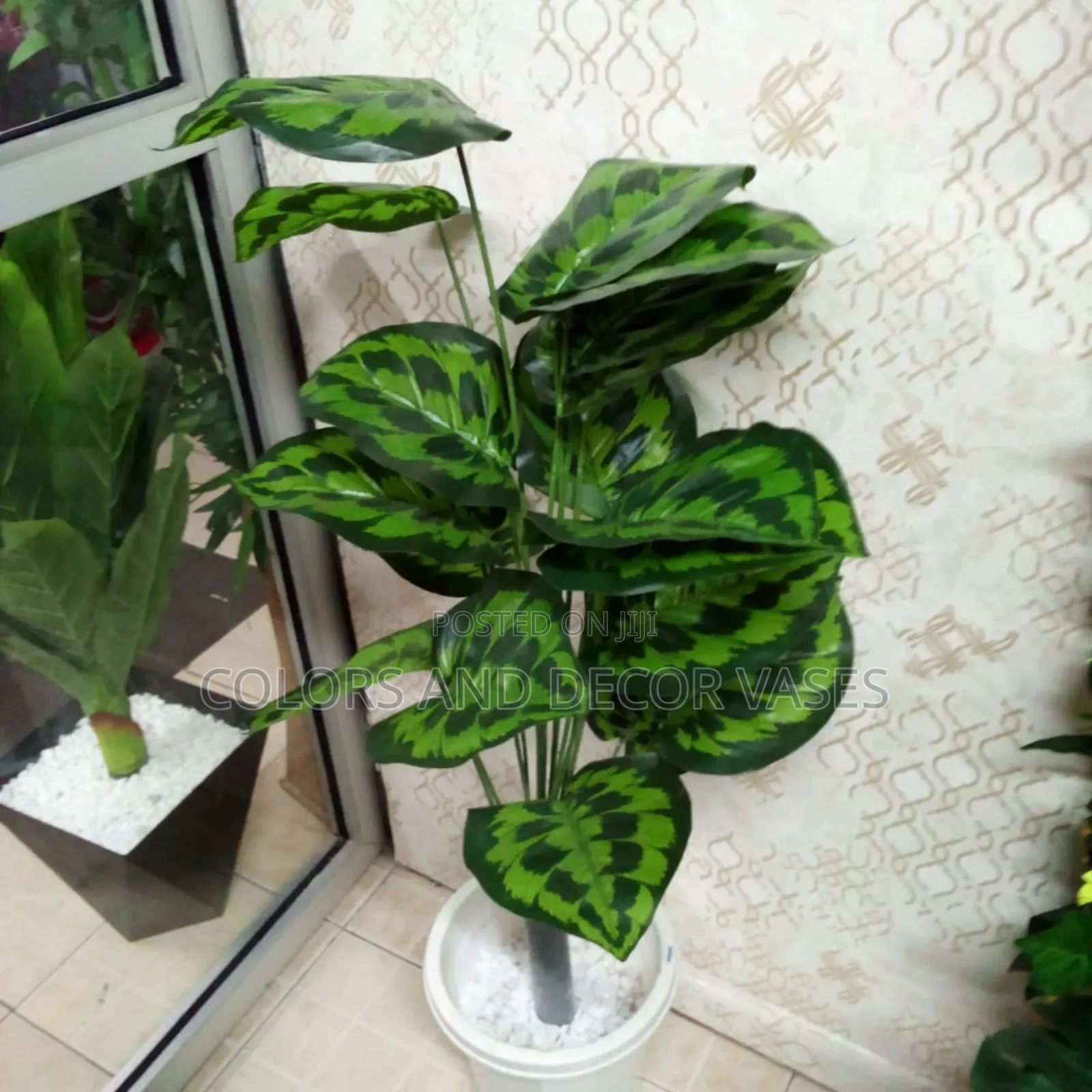 Offer Price Plant and Vase