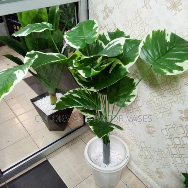 1.2m Plant Plus Vase And Stones