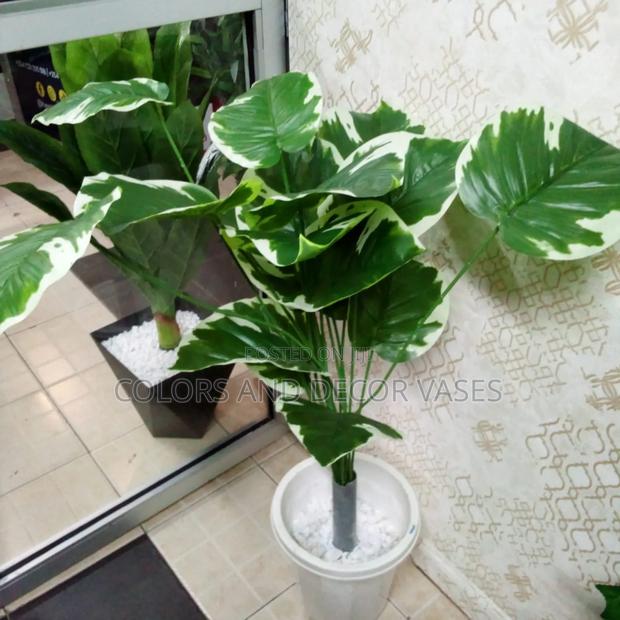 1.2m Plant Plus Vase And Stones - thumbnail 2