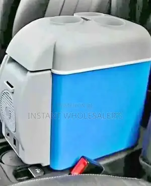 Portable Car Fridge