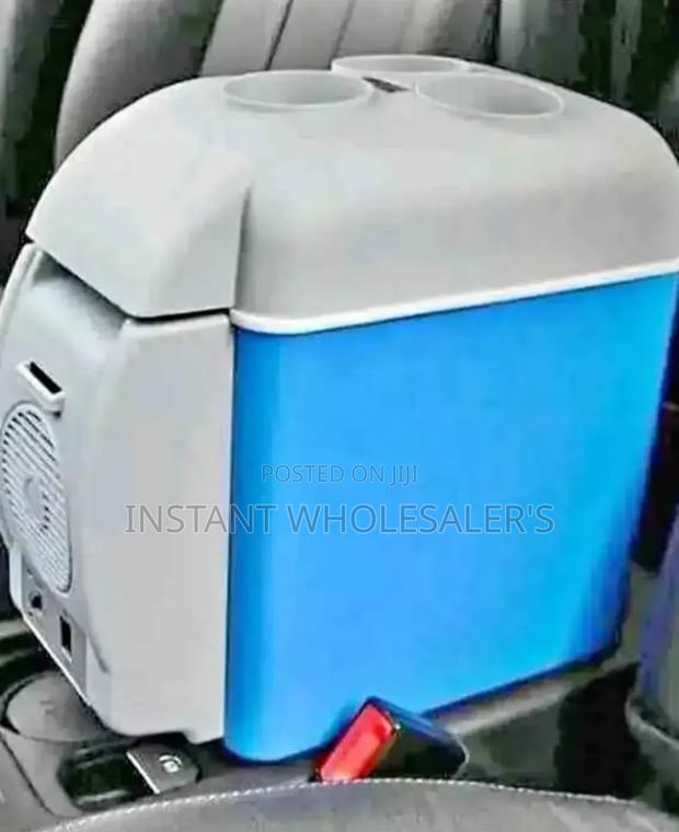 Portable Car Fridge
