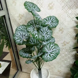 White Green Flowers With Pot