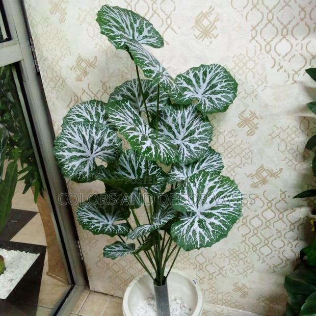 White Green Flowers With Pot