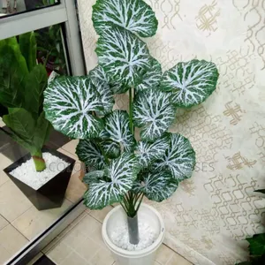 White Green Flowers With Pot