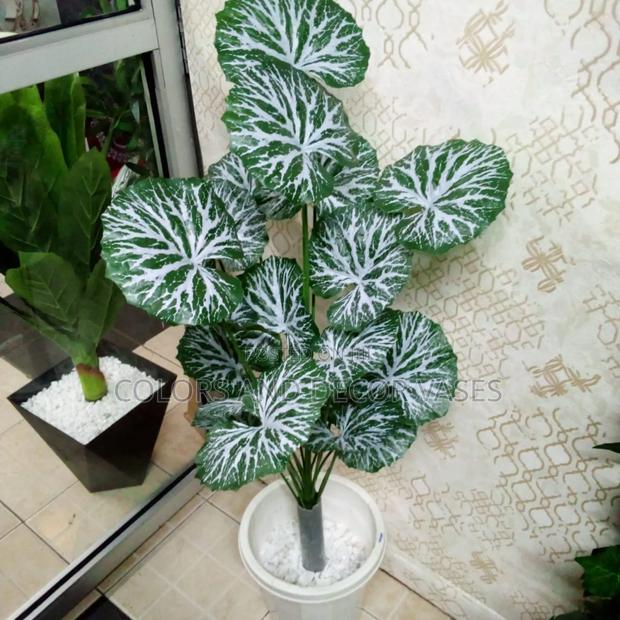 White Green Flowers With Pot - thumbnail 2