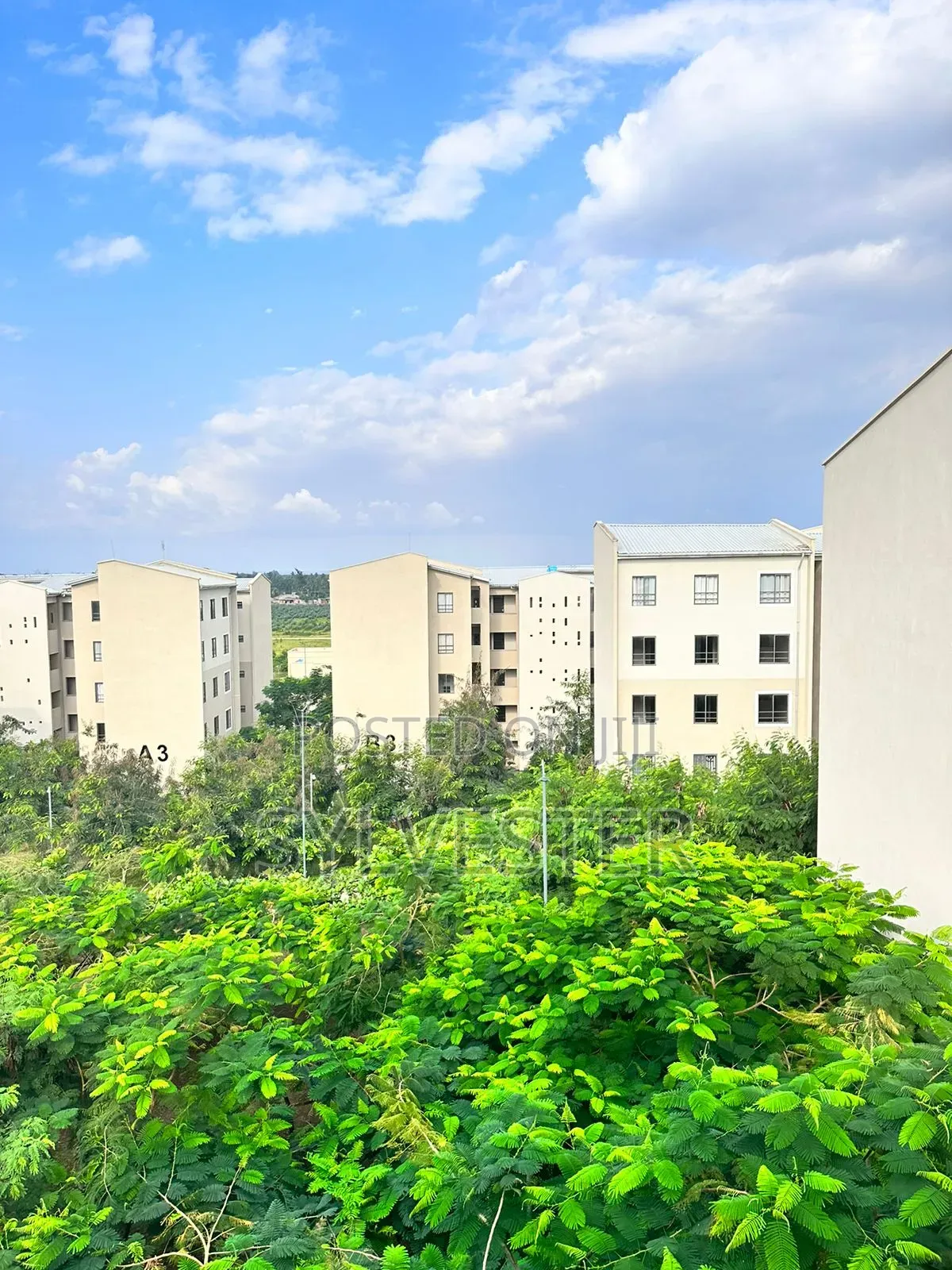 Furnished 3bdrm Apartment in Vipingo for rent
