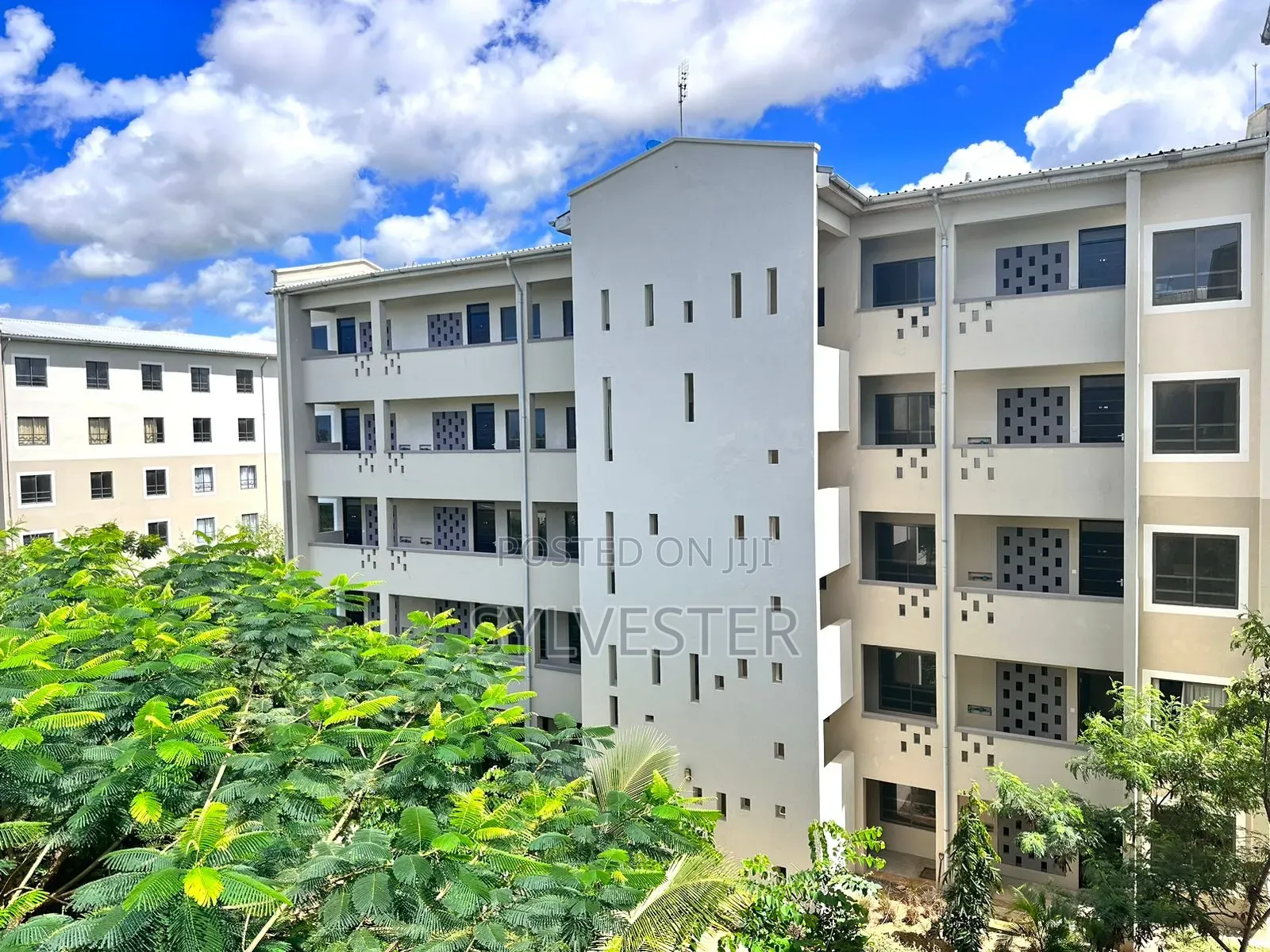 Furnished 3bdrm Apartment in Vipingo for rent
