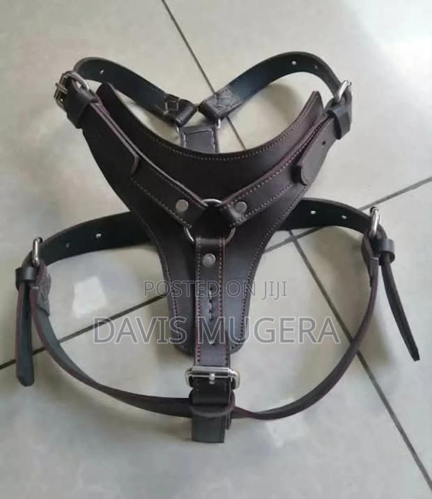 Genuine Leather Dog Harness - No Pull Dog Harness - thumbnail 3
