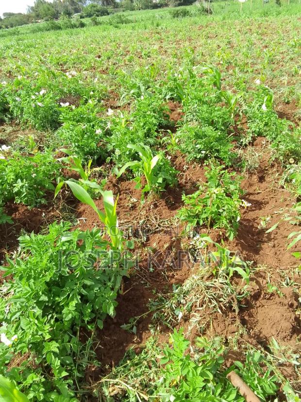 1/8 Land for Sell in Ndeiya Kikuyu Constituency