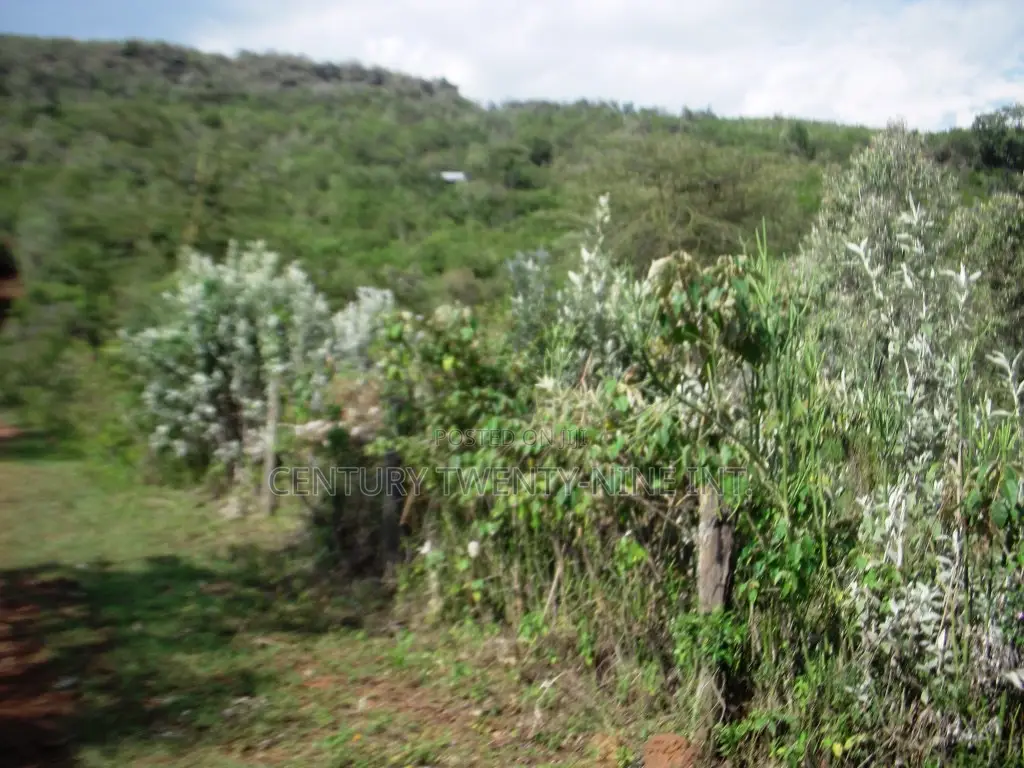 Kekopey Land Sale of 10 Acres
