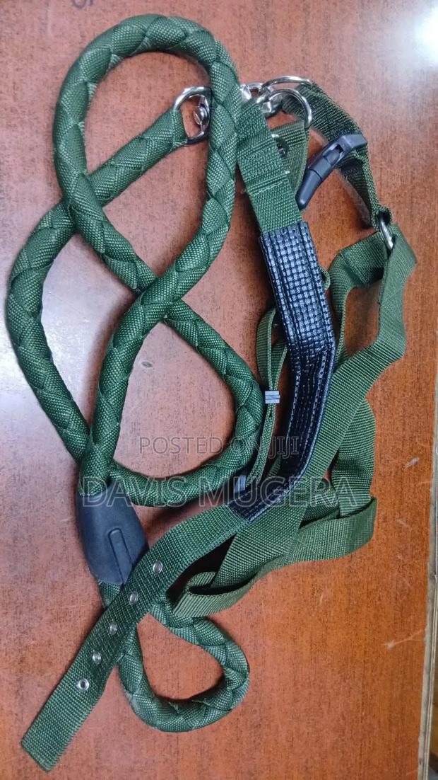 3-in-1 Dog Set- Leash, Collar and Harness
- Heavy Duty - main view