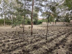 Large Residential Quarter Acre Plot In Ongata Rongai Kandisi - thumbnail 2