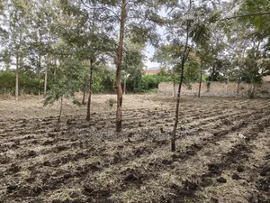 Large Residential Quarter Acre Plot In Ongata Rongai Kandisi