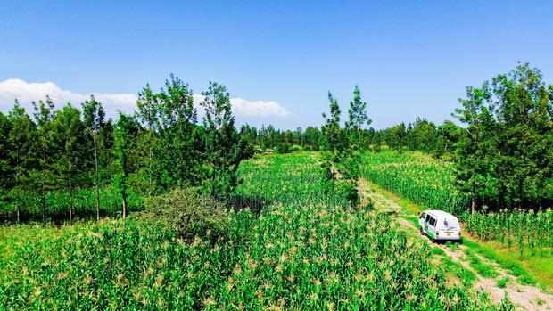 Makutano, Sagana Plots for Sale - thumbnail 3