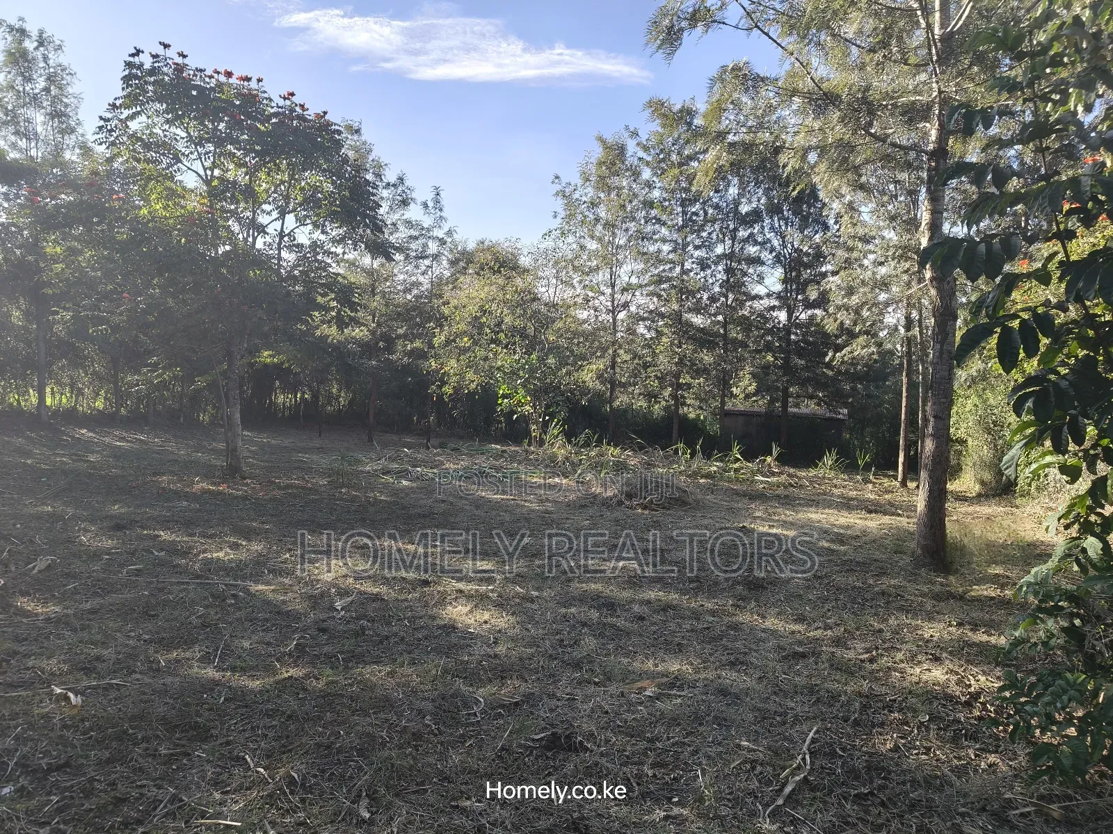 Large Residential Quarter Acre Plot In Ongata Rongai Kandisi