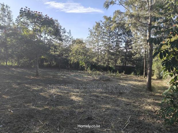 Large Residential Quarter Acre Plot In Ongata Rongai Kandisi - thumbnail 5
